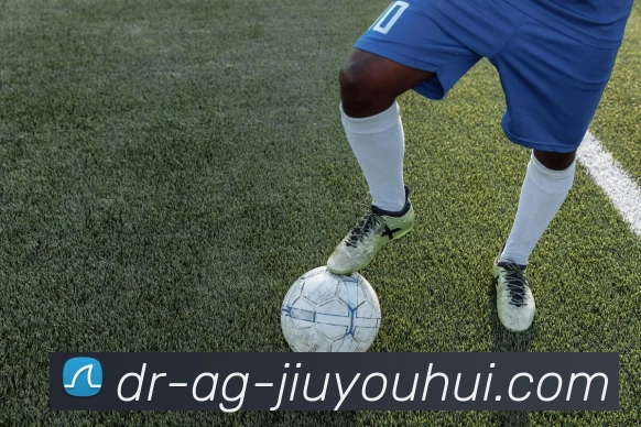 AG九游会官网平台生态图